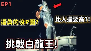 【尋找白龍王EP1】居然能釣到這麼大的白帶魚?!挑戰傳說中的基隆嶼超級大白龍!!