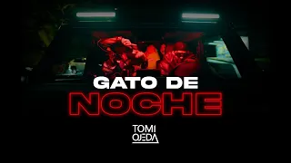 GATO DE NOCHE - Bad Bunny y Ñengo Flow (CACHENGUE REMIX) ⚡ Tomi Ojeda DJ