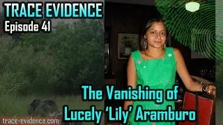 Trace Evidence - 041 - The Vanishing of Lily Aramburo
