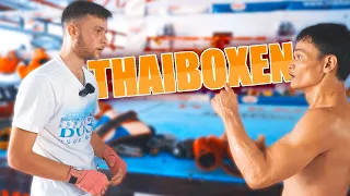 THAILAND: Ich war beim THAIBOXEN und hatte einen KAMPF gegen PROFI !..😱| Denizon