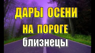 БЛИЗНЕЦЫ 🍁 ОСЕНЬ 2021 | СЕНТЯБРЬ ОКТЯБРЬ НОЯБРЬ | Таро прогноз, гороскоп, гадание