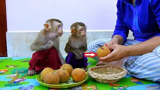 WHAT IS THAT FRUIT? Sovan & Sovanny Look So Curious & Shock First Time Seeing Santol Fruit ,