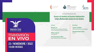 Seminario Permanente sobre Acceso a la Justicia en Asuntos Ambientales I 23 noviembre 2022