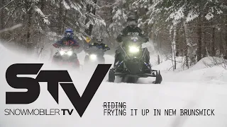 STV: Frying it up in New Brunswick