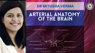 ARTERIAL ANATOMY OF THE BRAIN || DR MITUSHA VERMA || Radioanatomy Session | MCA PCA ACA ICA