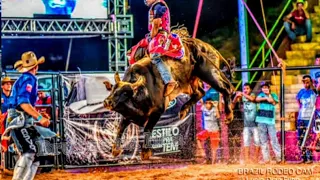 Coletânea touro patrão Cia de rodeio Paulo Emílio