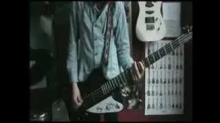 Young Legionnaire - Wreckonomics bass cover