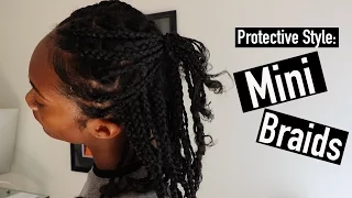 Protective Style Mini Braids Natural Hair Tatyana Ali