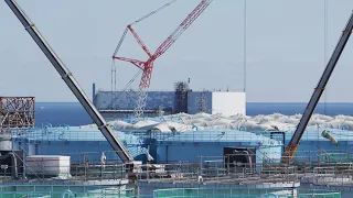 10 years of decontamination - How the Japanese are handling Fukushima