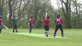 Cricket DK 2024 - 1 div. Kolding v Husum April 27