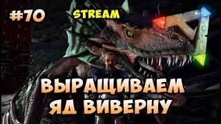 Выращиваем ядовитую виверну #70 [ARK: Survival Evolved]