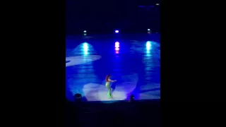 Disney On Ice! Little Mermaid - Part of your world