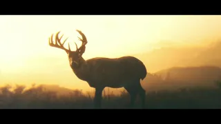 Red Dead Redemption 2: Dreams of deer