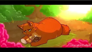 Warrior cats animash acapella