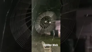 Spider Web Making 100X Faster