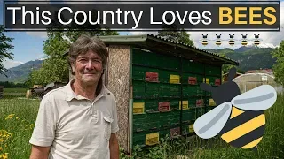 This Country Loves BEES (SLOVENIA)