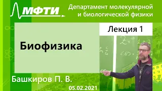 "Биофизика", Башкиров. П. В. 05.02.2021г.