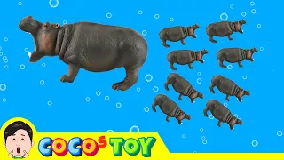 Hippo gave birth to baby hippo!ㅣAnimal names for children, Animals cartoonㅣCoCosToy