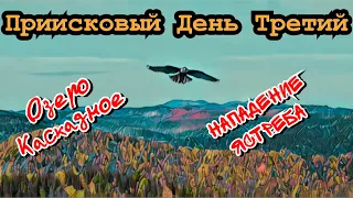 Приисковый день третий. 120км. По золотому кольцу.