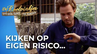 Dave Roelvink OVER Z'N NEK tijdens werken op de boerderij! 🤮 | De Roelvinkjes #AFL3