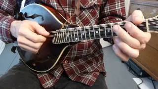 Swallowtail Jig (With Tabs) - Mandolin Lesson