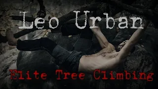 Leo Urban - The Best Tree Climber In The World | Climbing Highlights | Compilation |