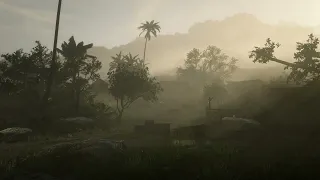 Ambient Red Dead Redemption 2 - Guarma 1