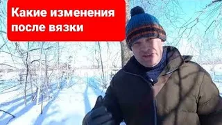 Поведение собаки после вязки.