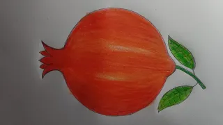how to draw a pomegranate step by step# easy drawing#dalim# dalim art#ডালিম আকাঁর নিয়ম#anar drawing