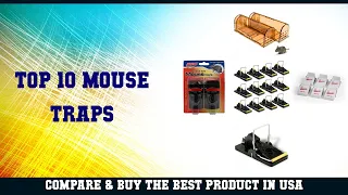 Top 10 Mouse Traps to buy in USA 2021 | Price & Review