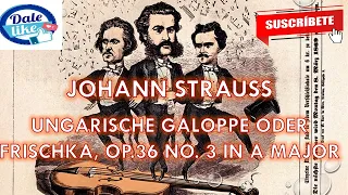 Johann Strauss / Op.36 No. 3 in A major #johannstrauss #classics