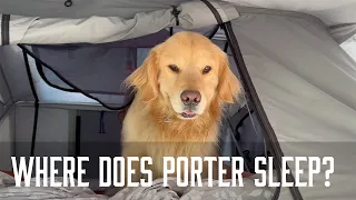How to get a large dog into a Roof Top Tent (RTT)