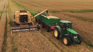 Harvest 2019 Tormac, Romania,