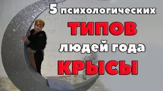 5 психологических  ТИПОВ КРЫСЫ. КРЫСА ( СТИХИЯ ЗЕМЛЯ)