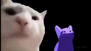 Cat but its a gamecube intro extended (10 minutes)