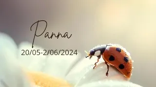 Panna ♍ 20/05-2/06/24 🐞 Warto dać temu jeszcze jedną szansę 🥰