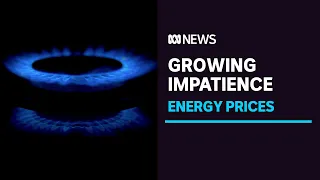 Growing impatience for power price action in government ranks | ABC News