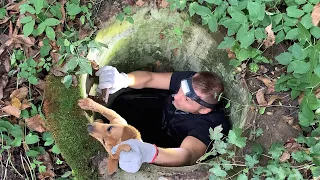 Rescued dog trapped in the sewer thanks to man who found her | Kana’s rescue