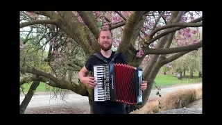 "Заметался пожар голубой" - Есенин. ( accordion cover)