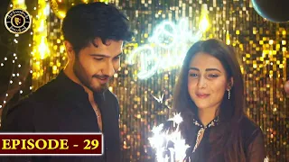 Habs Episode 29 | Top Pakistani Drama