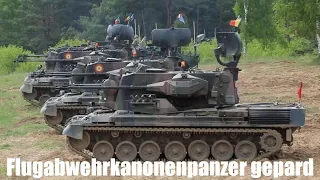 Flakpanzer Gepard self-propelled anti-aircraft gun - Top Facts