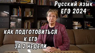 Как подготовиться к ЕГЭ по русскому за 2 недели