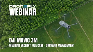 Webinar Excerpt | DJI Mavic 3M Multispectral - Use Case - Orchard Management | Dronefly
