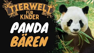 Folge 1: Pandabären - Tierwelt für Kinder - Lernvideo auf Deutsch