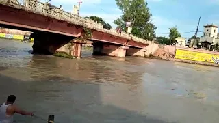 crocodile attack in ganga very danger