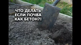 Что делать если почва как бетон?!