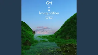 Imagination