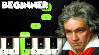 Ode To Joy - Ludwig Van Beethoven | BEGINNER PIANO TUTORIAL + SHEET MUSIC by Betacustic