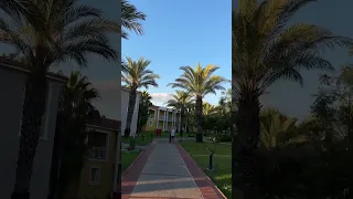 Euphoria Palm Beach Resort Турция 🇹🇷