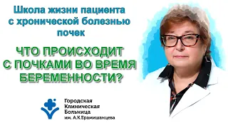 Что происходит с почками во время беременности?